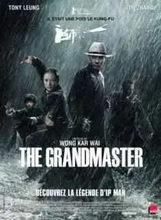 The Grandmaster (2013)