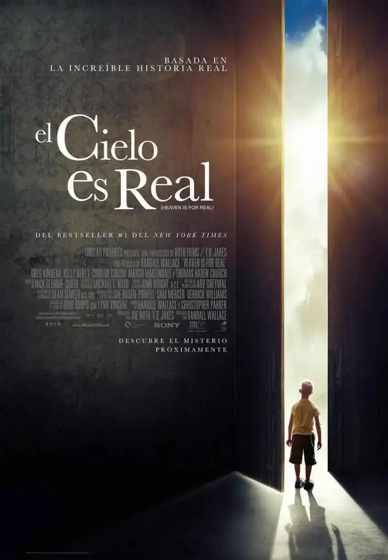 El cielo es real (2014)