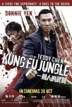 Kung Fu Jungle (2014)