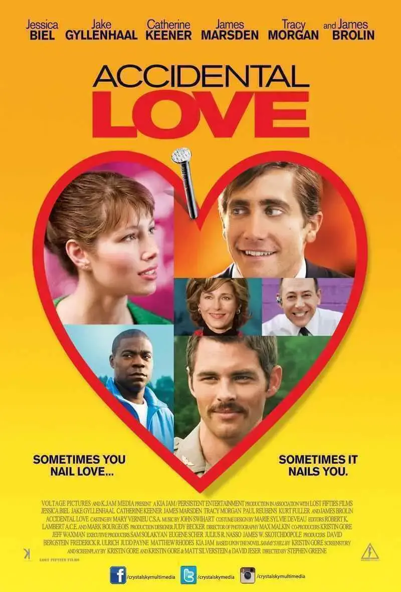 Accidental Love (2015)