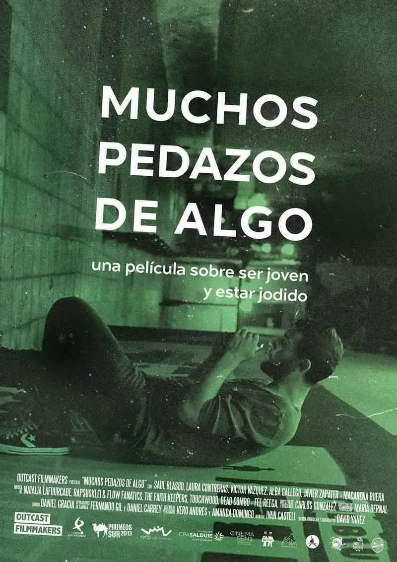 Muchos pedazos de algo (2015)