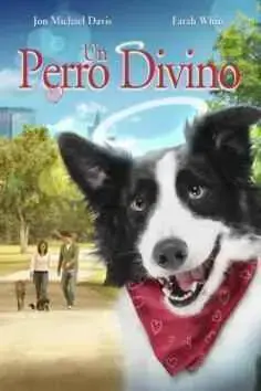 Un perro divino (2011)