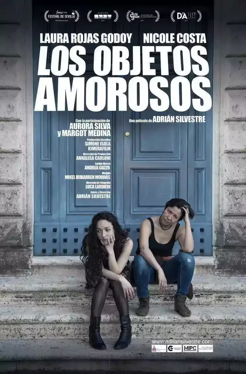 Los objetos amorosos (2016)