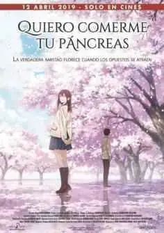 Quiero comerme tu páncreas (2018)