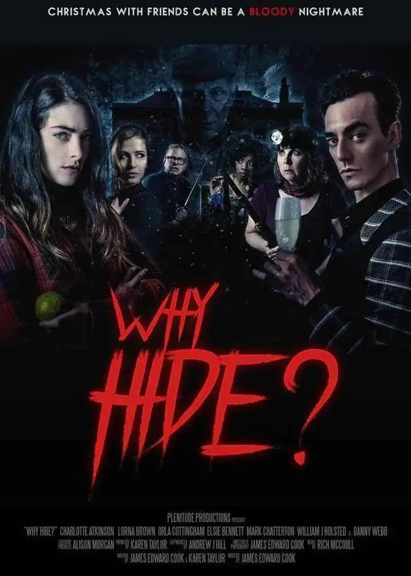 Why Hide? (2018)