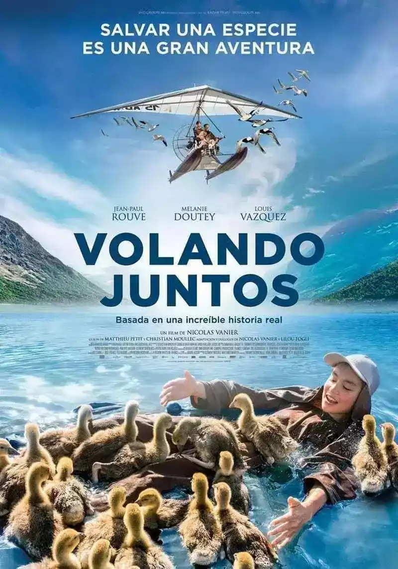 Volando juntos (2019)