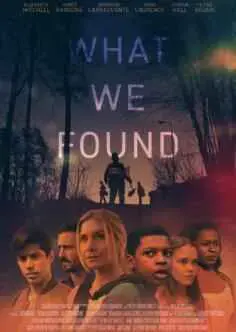 What We Found (2020)