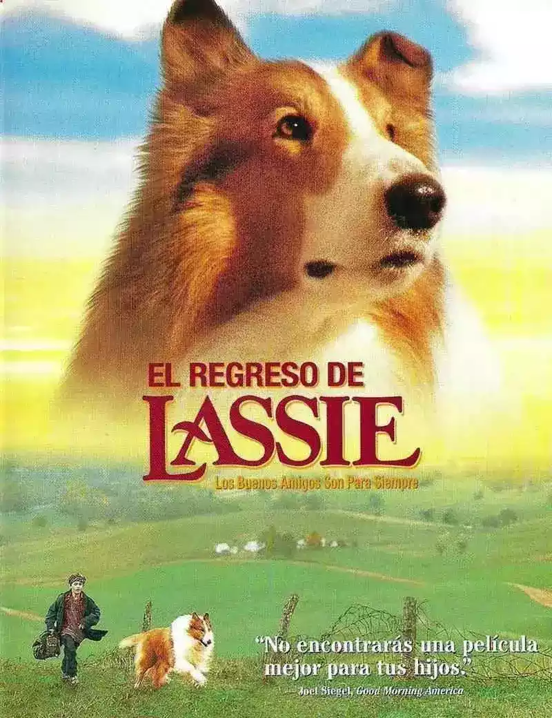 El Regreso De Lassie 1994