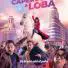 Identidad En La Sombra (DVD 2013)