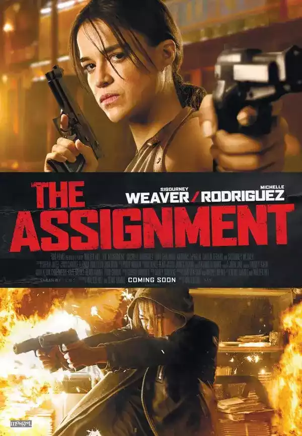 Dulce venganza (The Assignment) (2016)
