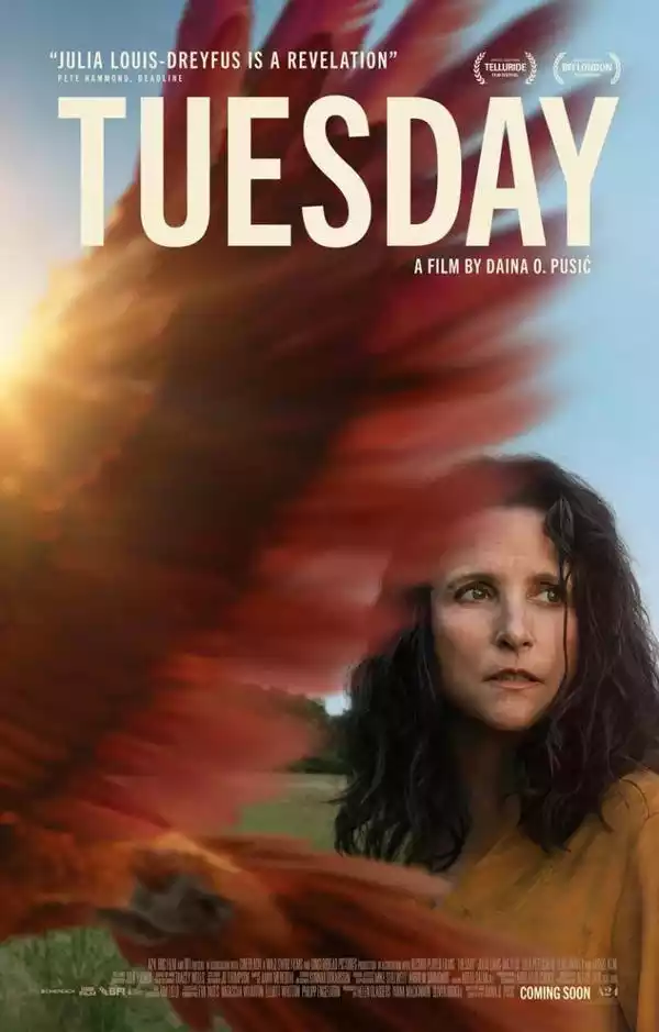 Tuesday (2023)